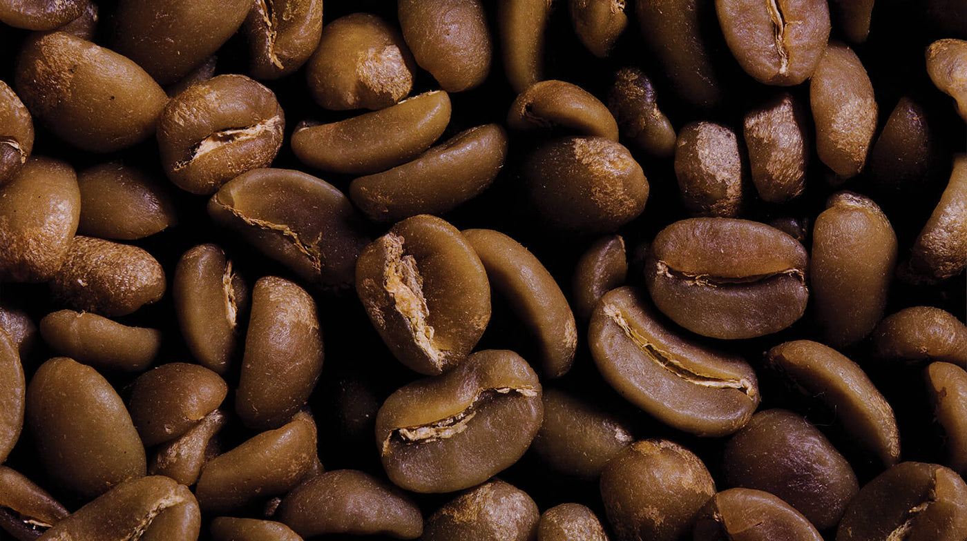 Angco Coffee | Coffee Beans Toowoomba