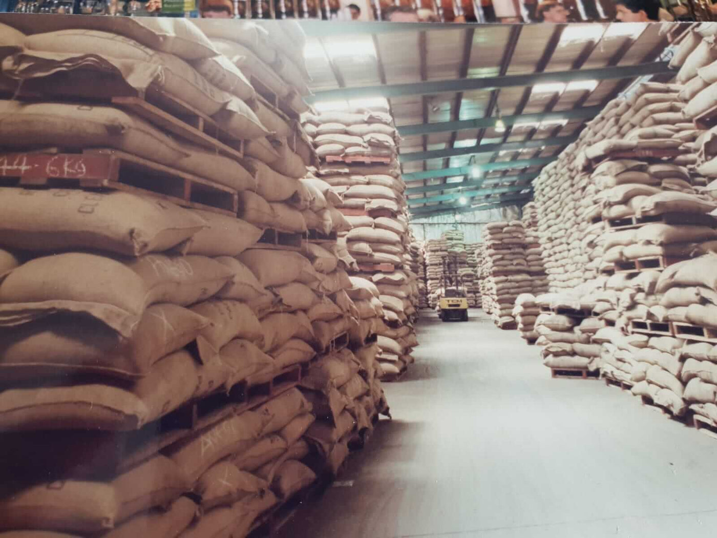 Large coffee warehouse storing pallets of Angco coffee beans.