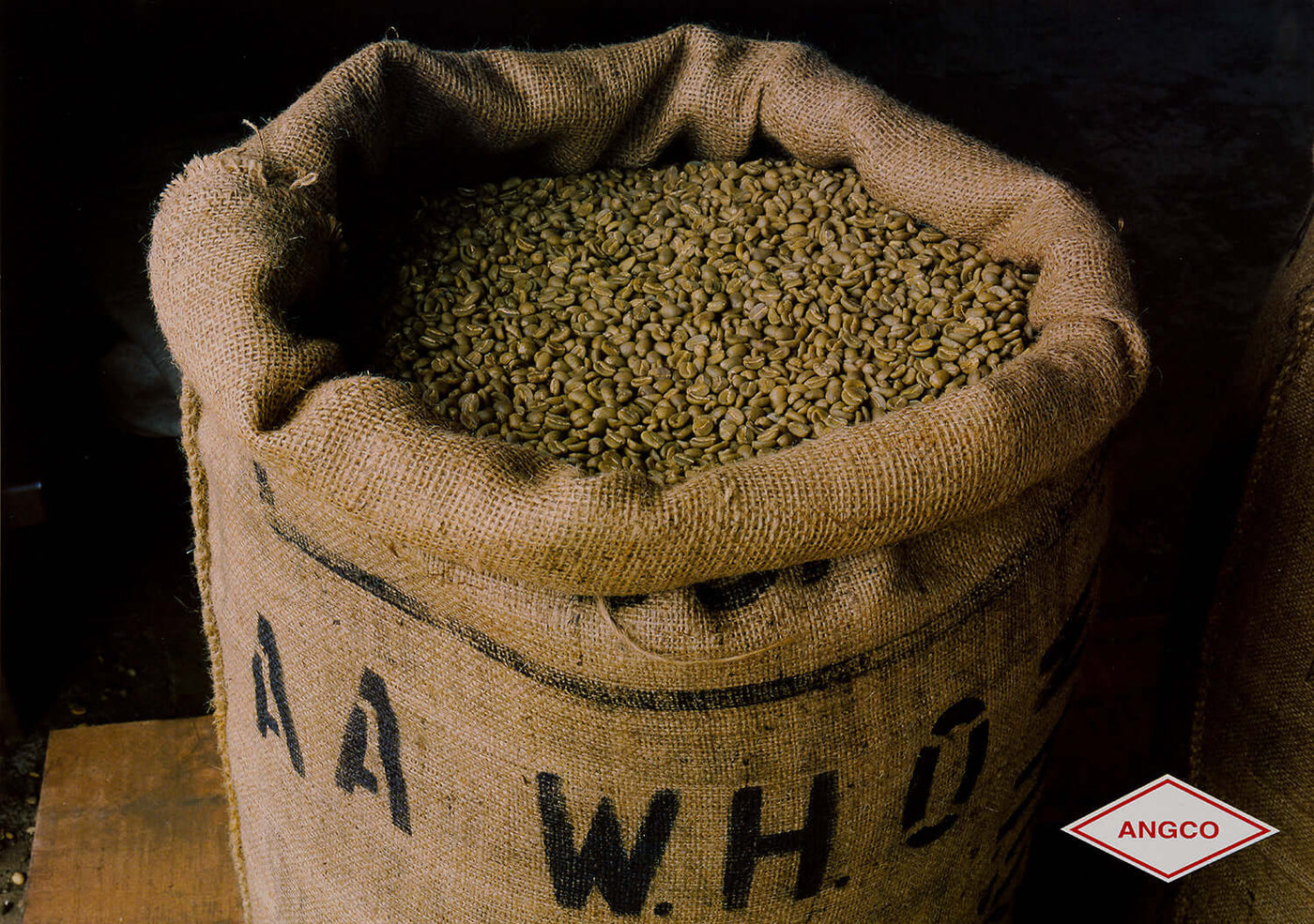 Wholesale Coffee Beans | Angco Coffee